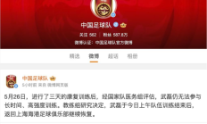 开云APP下载:武磊退出国足集训 恐将缺席世预赛